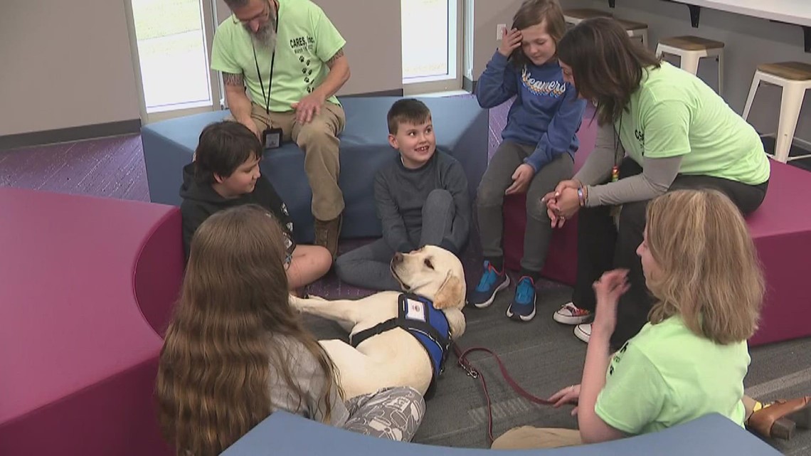 Bettendorf elementary introduced to new therapy dog | wqad.com