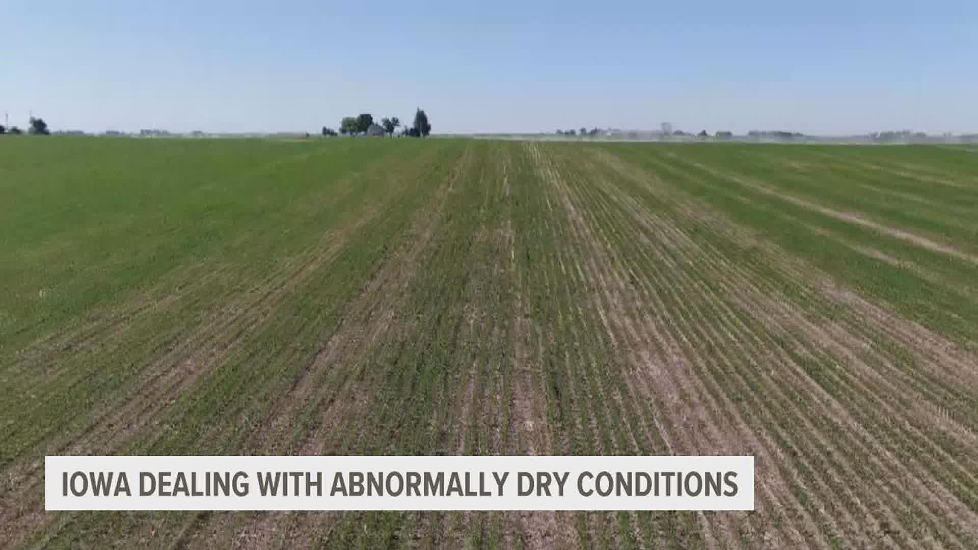 100% of Iowa is experiencing "abnormally dry" conditions for the first time since August 2013, a report released Thursday shows.