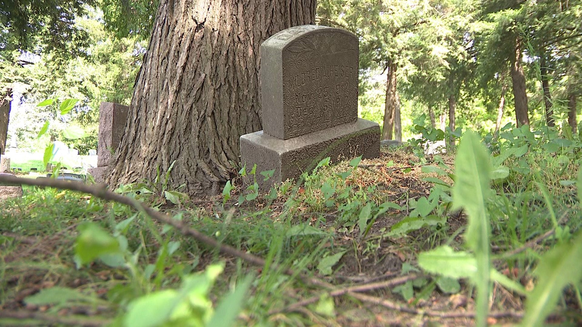 Fairmount Cemetery under new management