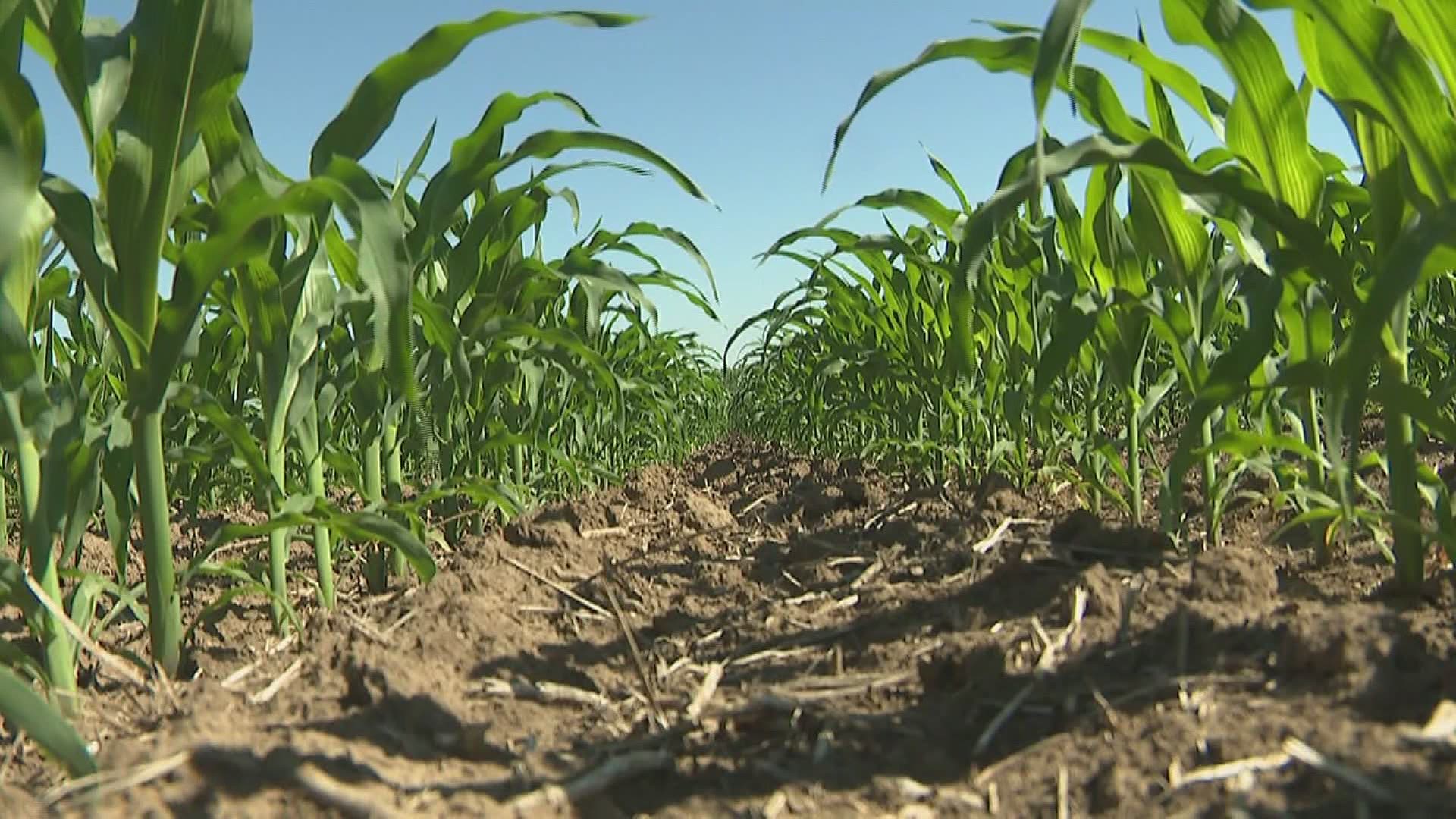 Dry soil conditions are becoming more widespread through much of Iowa and Illinois. Area farmers are keeping a close eye on their rain gauges.