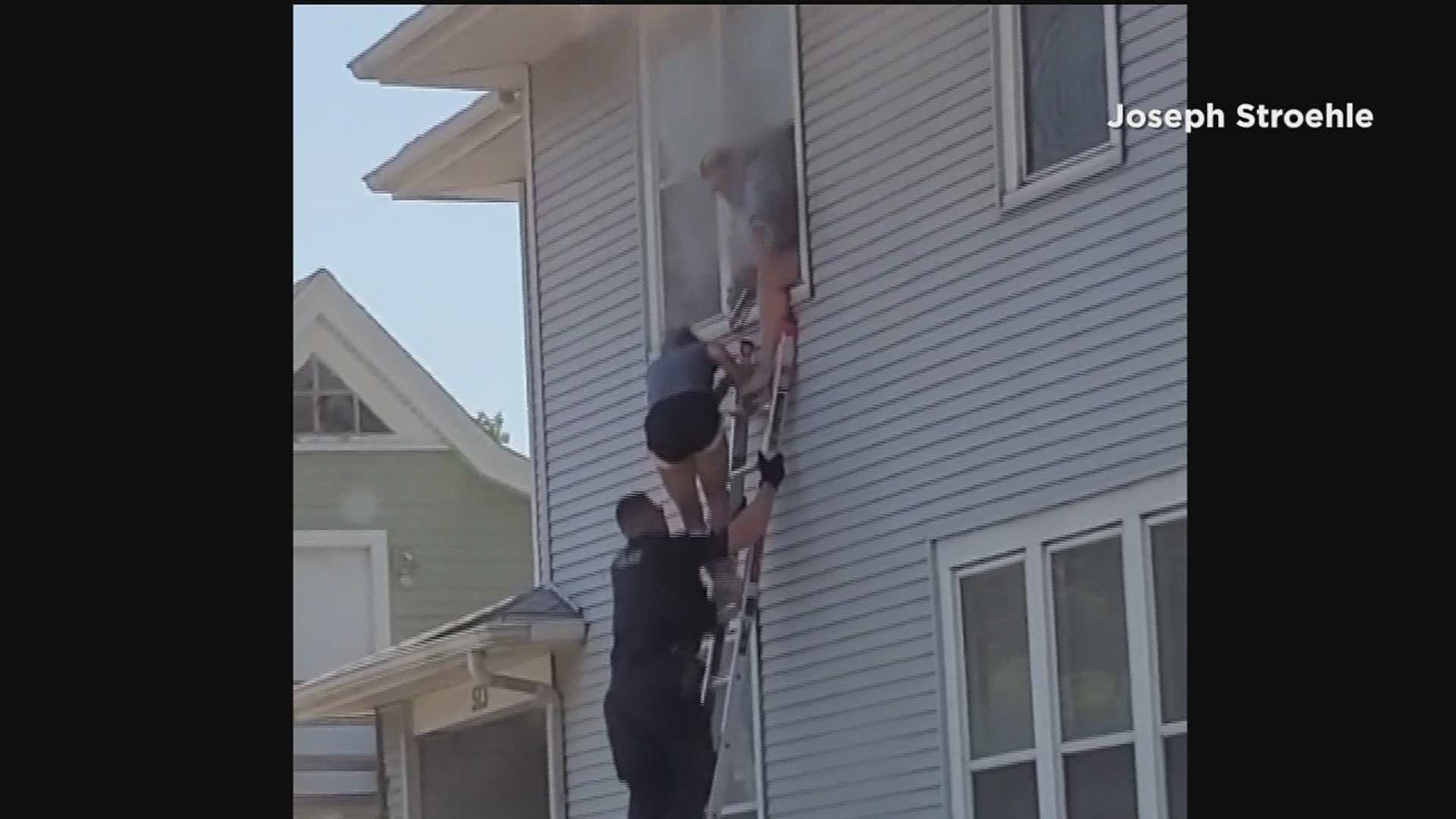 A group of three and a dog were rescued by Davenport police via ladder Friday afternoon.