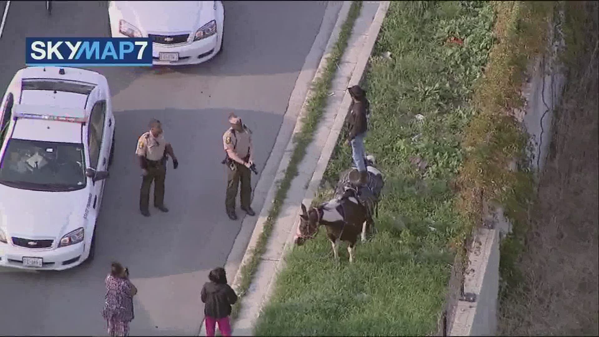 He was riding his horse down a Chicago freeway.