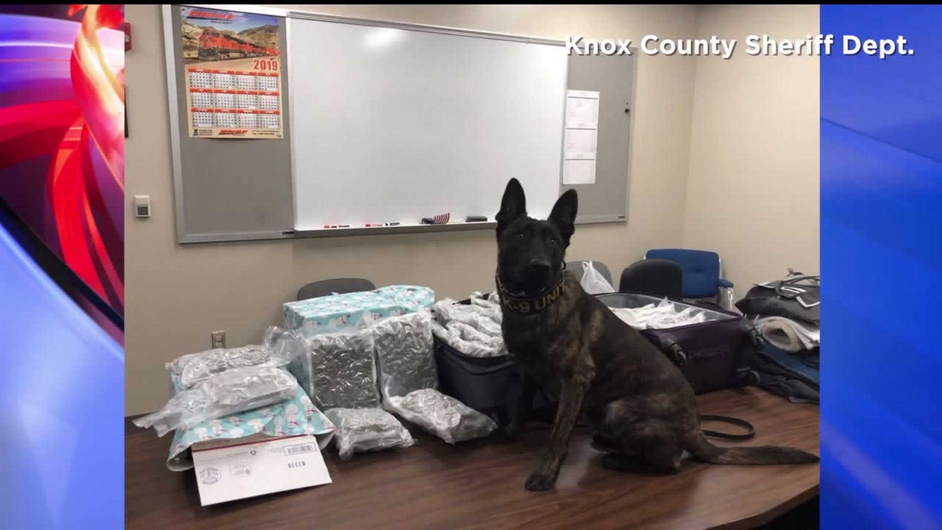 K9s help seize 44 pounds of cannabis in Knox County