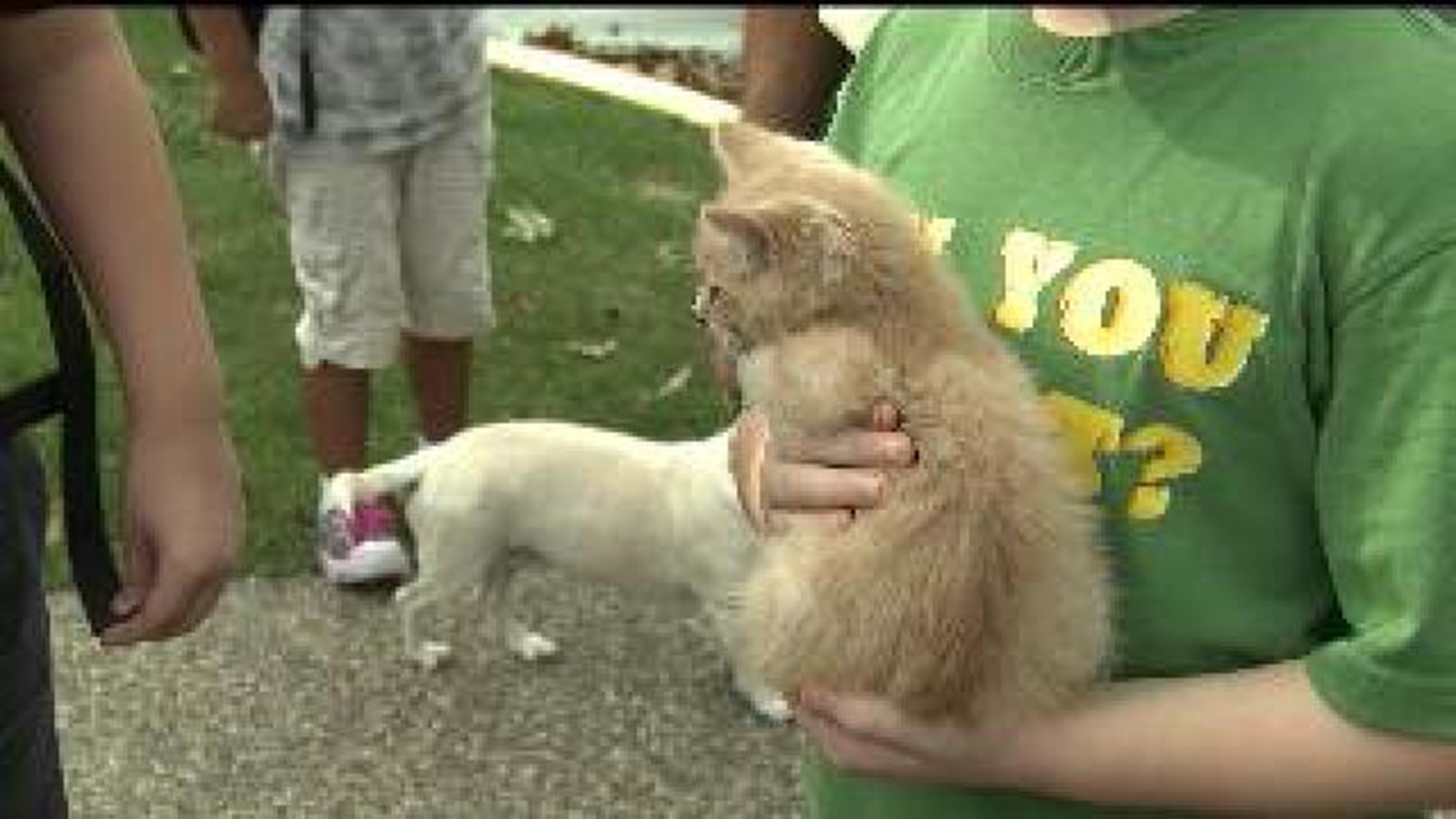 East Moline church holds Blessing of the Pets ceremony