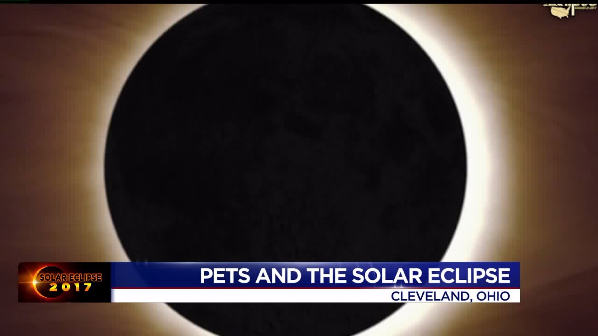 PETS AND THE SOLAR ECLIPSE