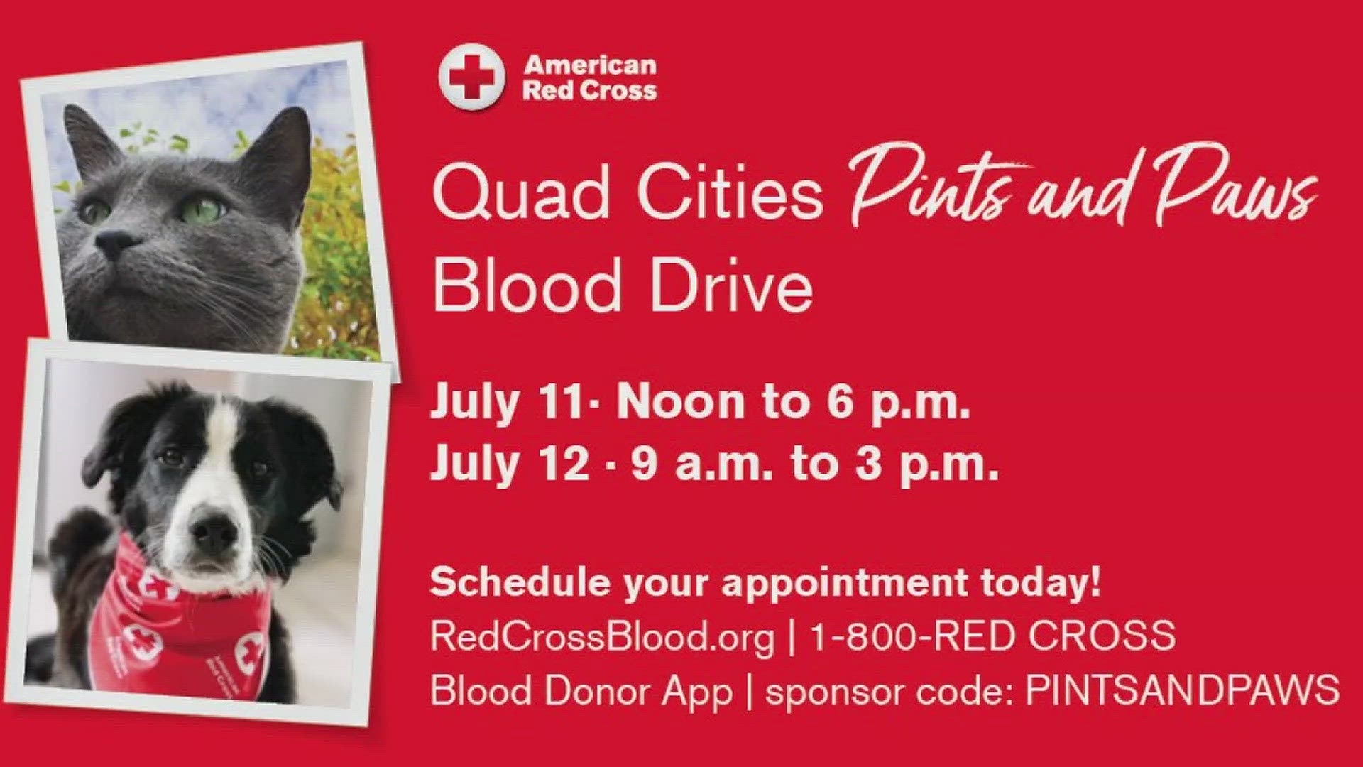 On July 11 and 12, donate blood at one of four Quad Cities locations, and $10 for each donor will be given to four local humane societies.
