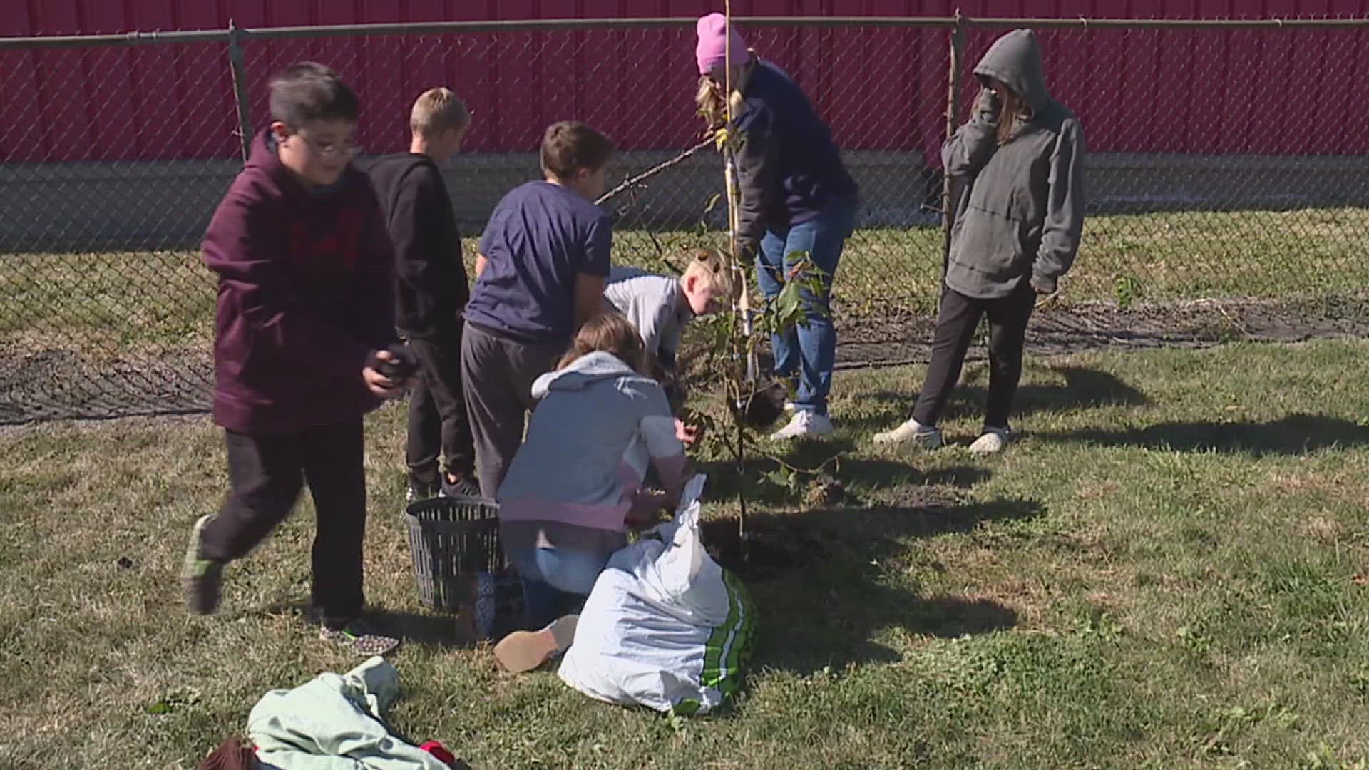 The planting was a partnership with the University of Illinois Extension's Urban Tree Equity Initiative.