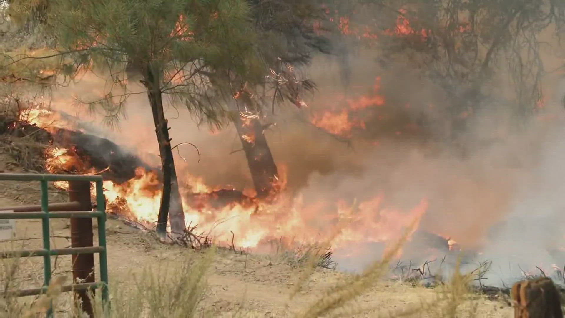 Scientists say record-breaking heat is drying out vegetation in the region, adding more fuel for wildfires.