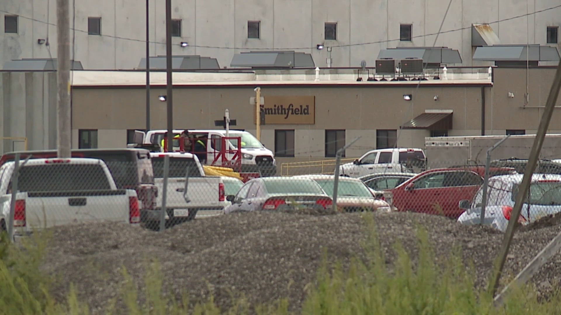 Smithfield employees exposed to amputation risks, dangerous chemicals ...