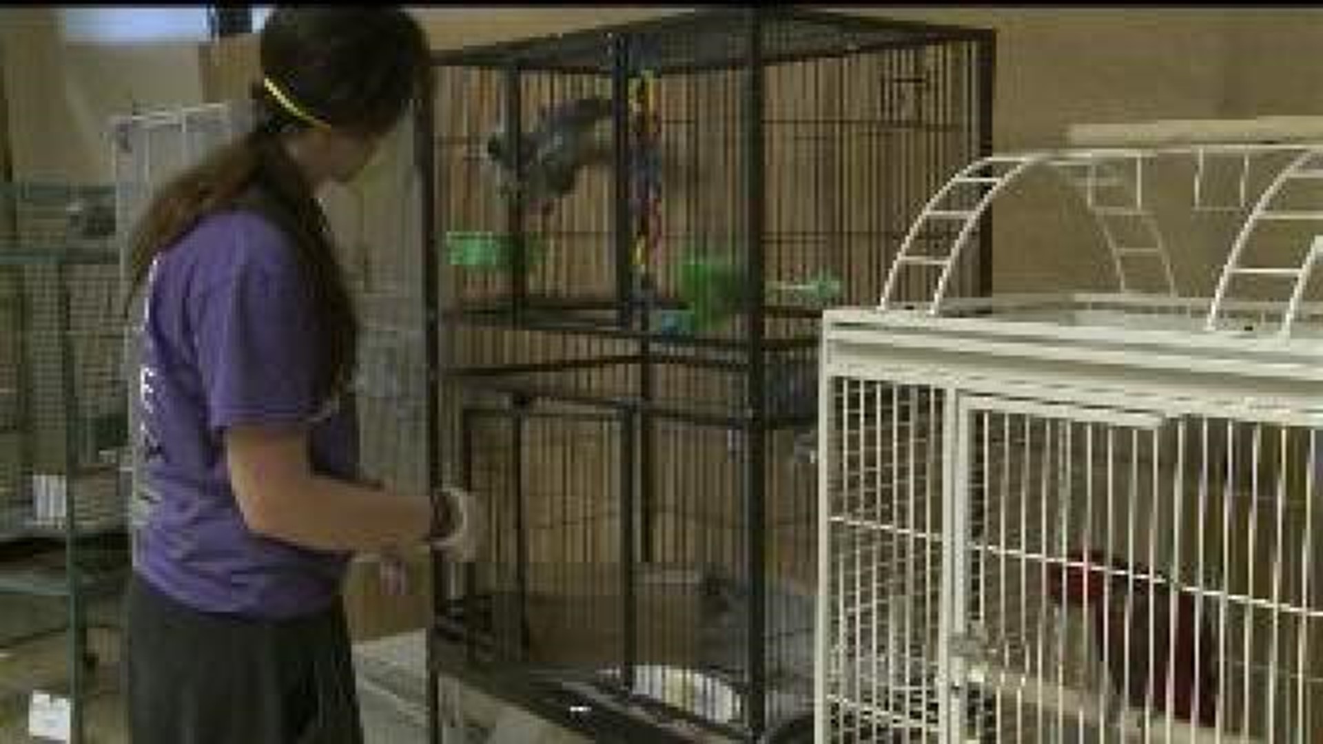 Animals rescued from Des Moines home