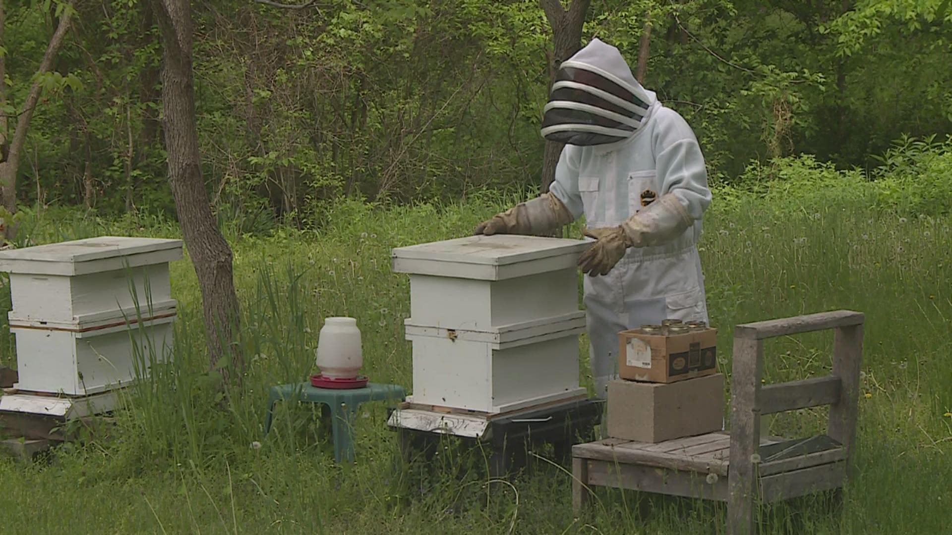 The honey business uses local bees from the owners very own back yard
