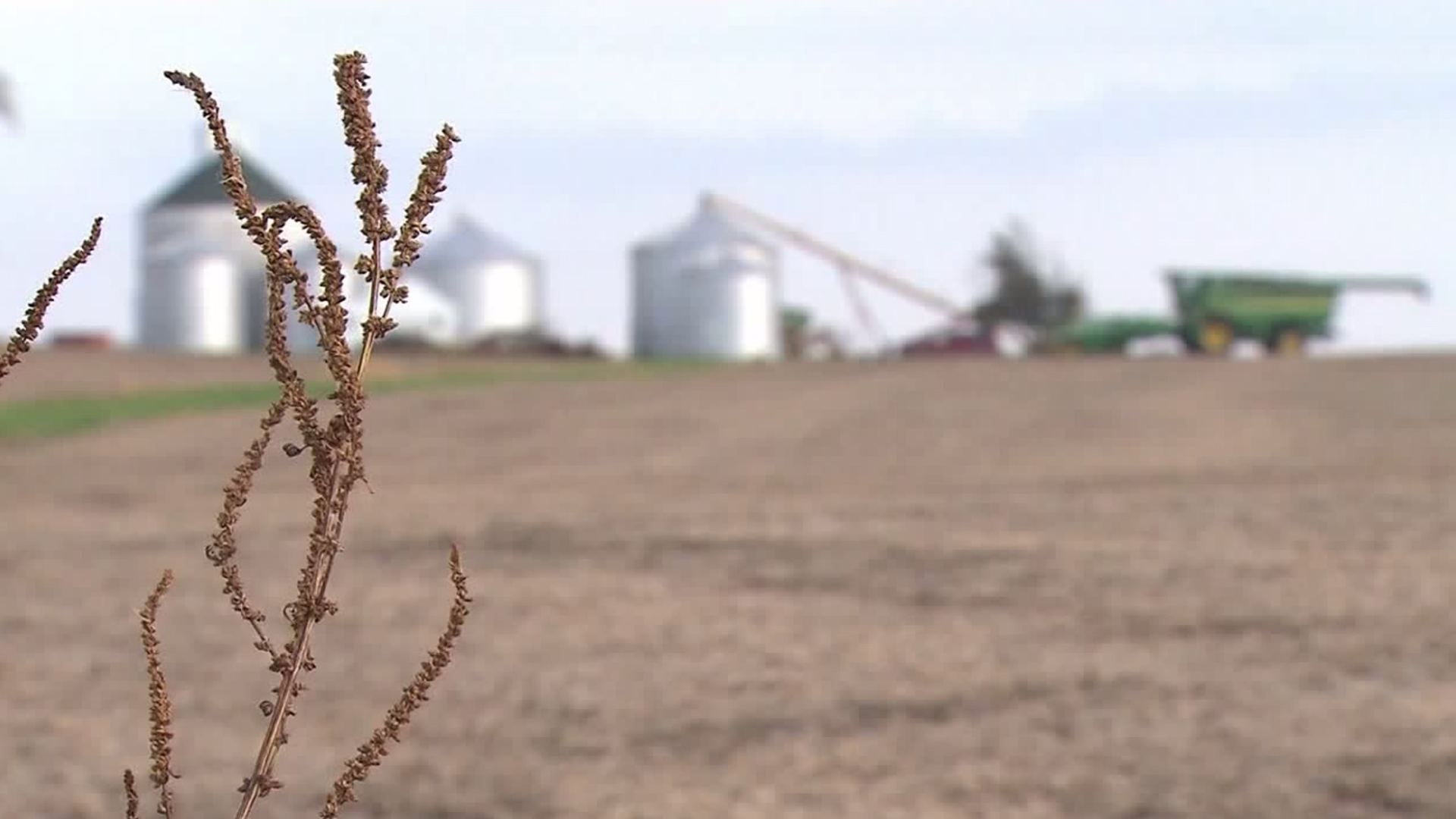 US farm bankruptcies jump 20% in 2019