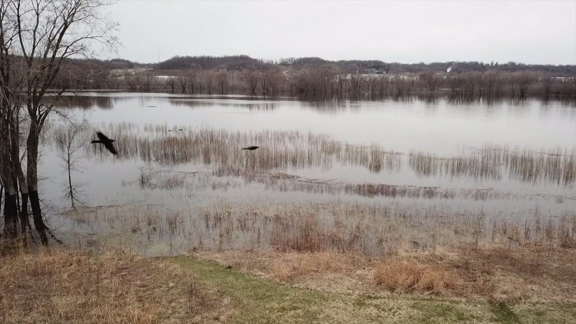 Nahant Marsh Flooding