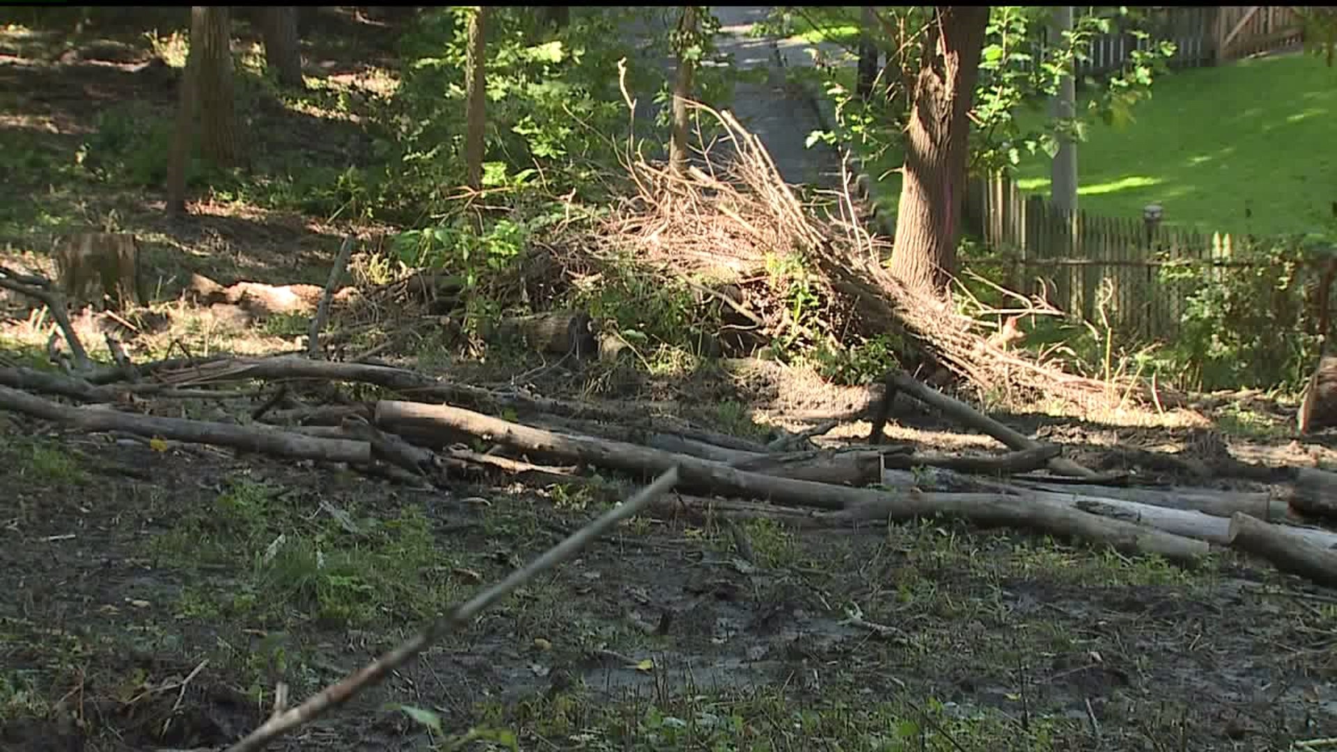 Hauberg Center works to restore Terrace Garden