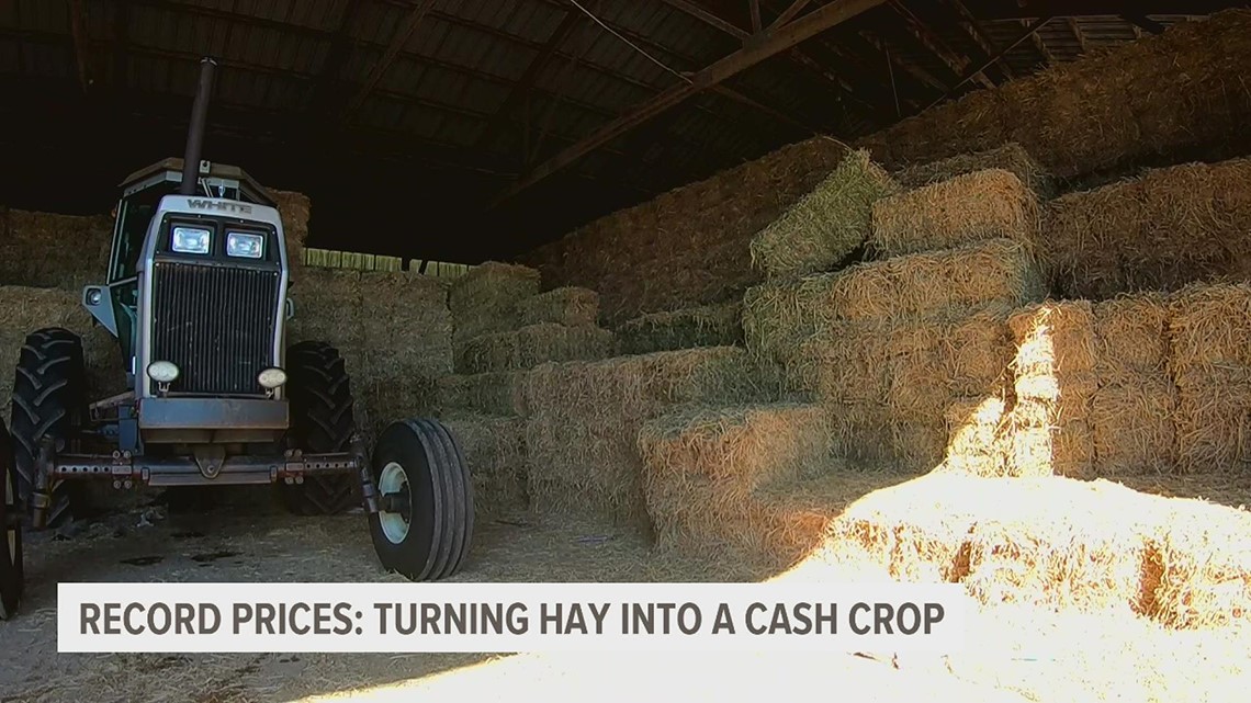 WATCH: Harvest Hay-Days | How one local farmer is finding opportunity in alfalfa