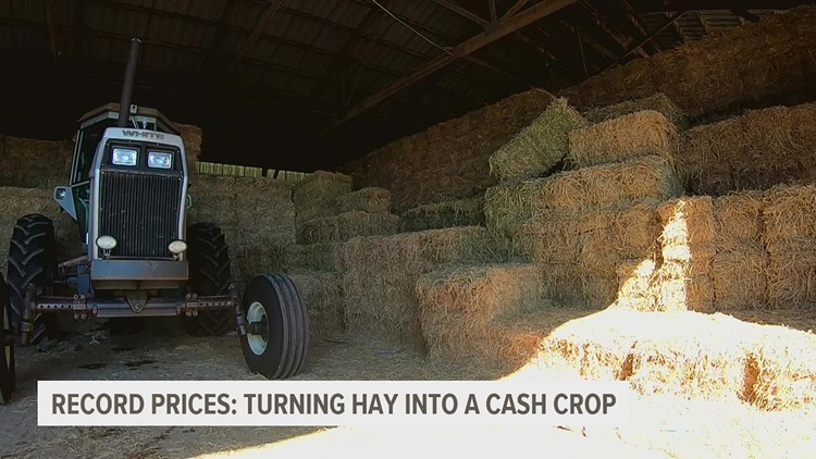 What the hay?! How one local farmer is finding opportunity in alfalfa