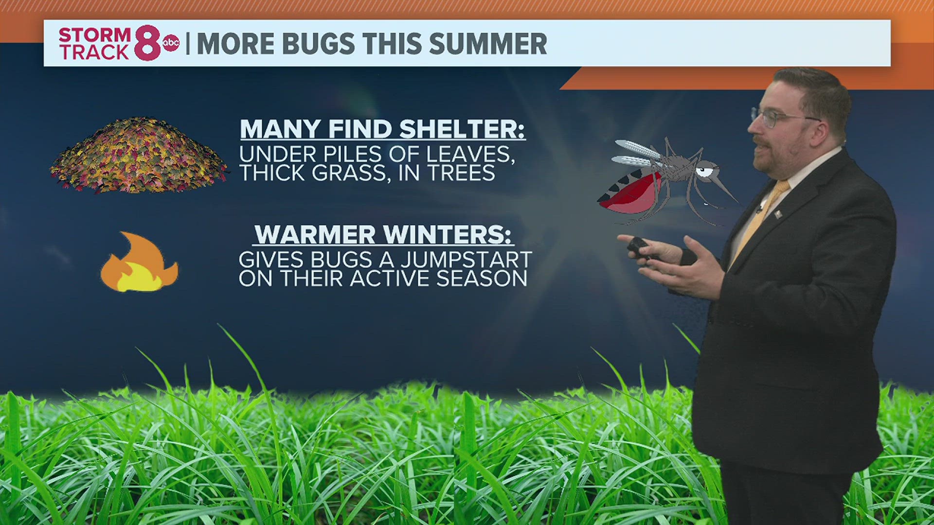 Does a warmer winter mean we'll see more bugs this spring and summer? Meteorologist Andrew Stutzke checks in with the bug experts.