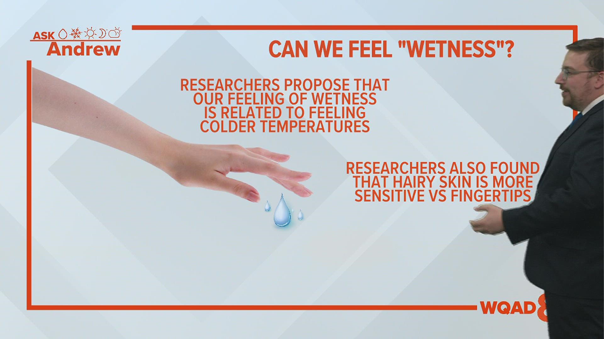 Researchers have found that our feeling of wetness has more to do with the temperature of what we are touching.