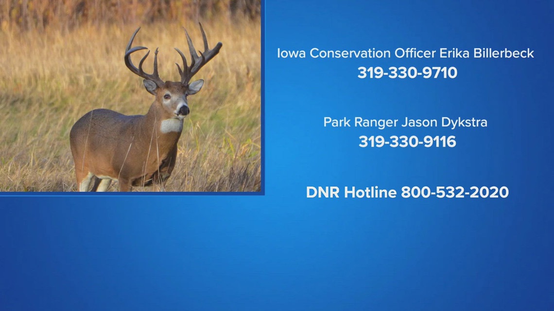 Iowa DNR looking for information on deer poaching case