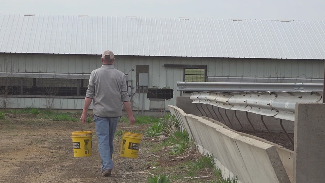 Iowa cattle farmers sending food to Nebraska as wildfires devastate ranchers
