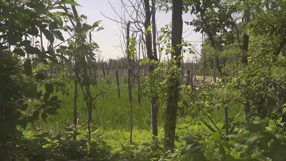 Rock Island City Council approves Milan Bottoms conservation easement resolution