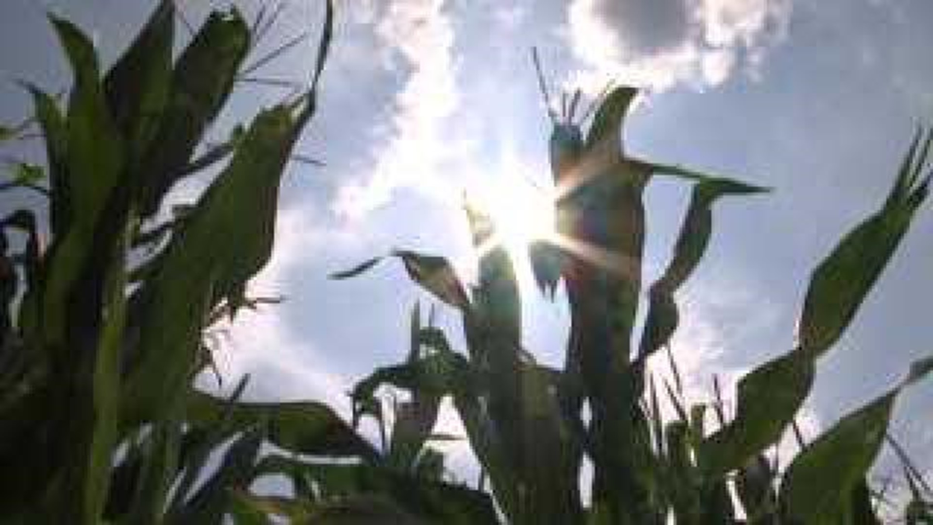 Drought conditions challenge Warren County corn crop