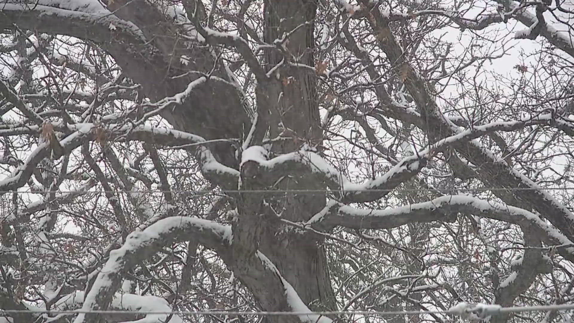 The City of Moline is partnering with United Way Quad Cities to help elderly residents and those with disabilities remove snow during the winter months.