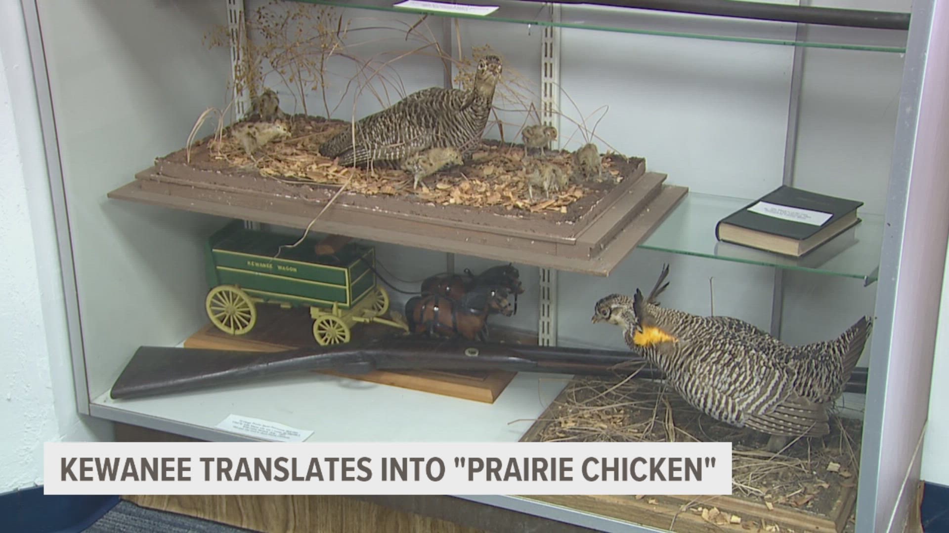 With a quick search, you can find out that "Kewanee" is the Winnebago tribe's word for a certain species of bird. But how was that word chosen as the city's name?