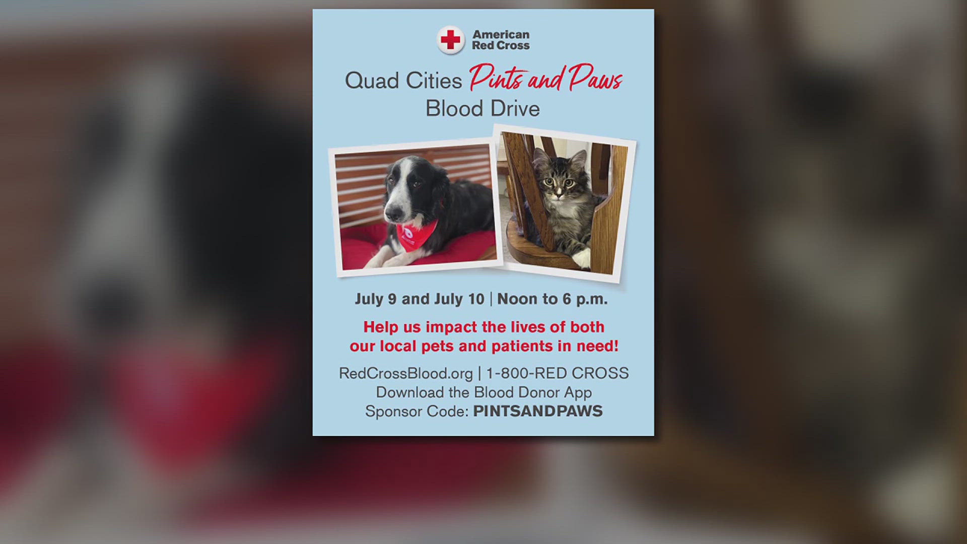 On July 9 and 10, from noon to 6 p.m., your blood donation will also send a $10 donation to four Quad City animal shelters. Here's where you can go to donate.
