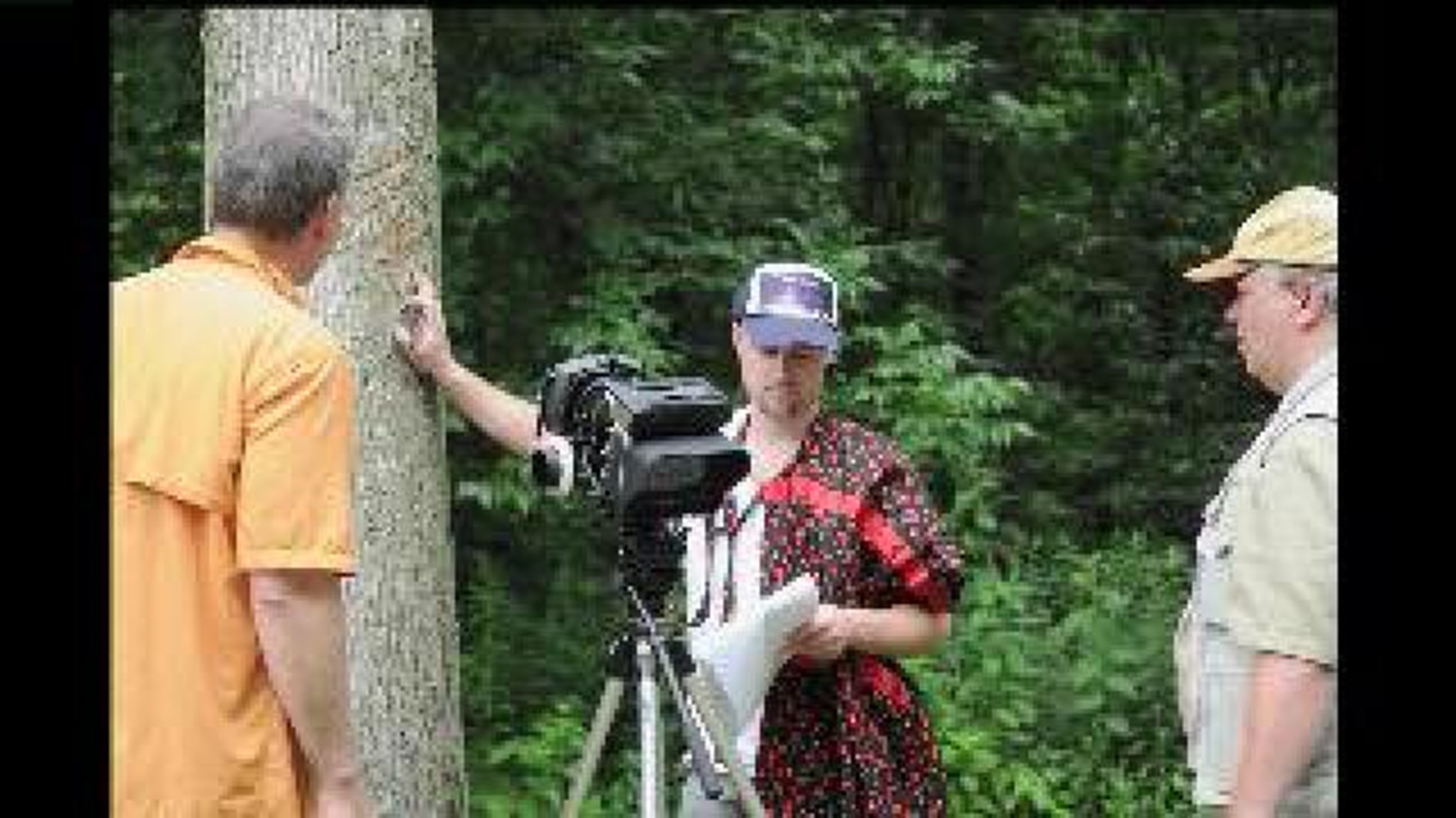 Independent filmmaker in the Quad Cities