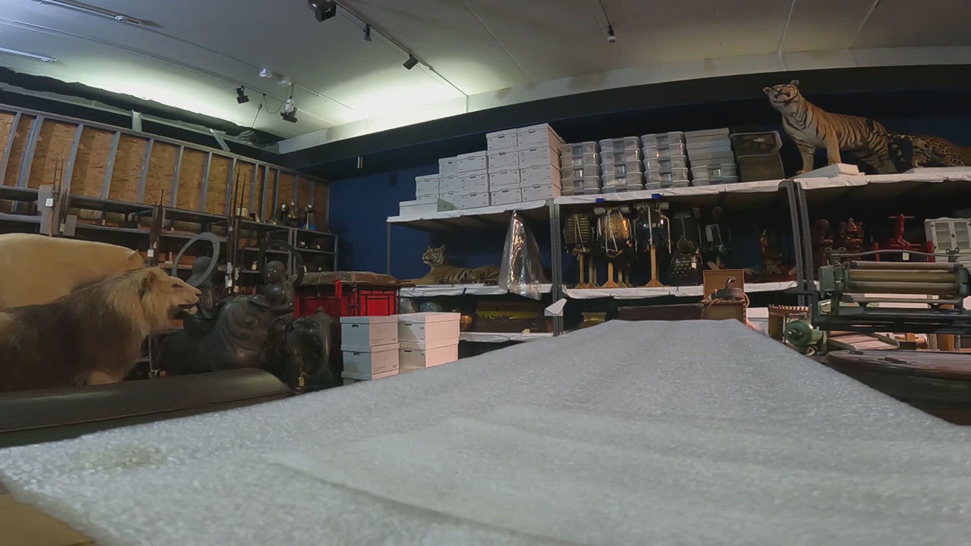 According to museum officials, the Putnam has more than 250,000 items in its collection.