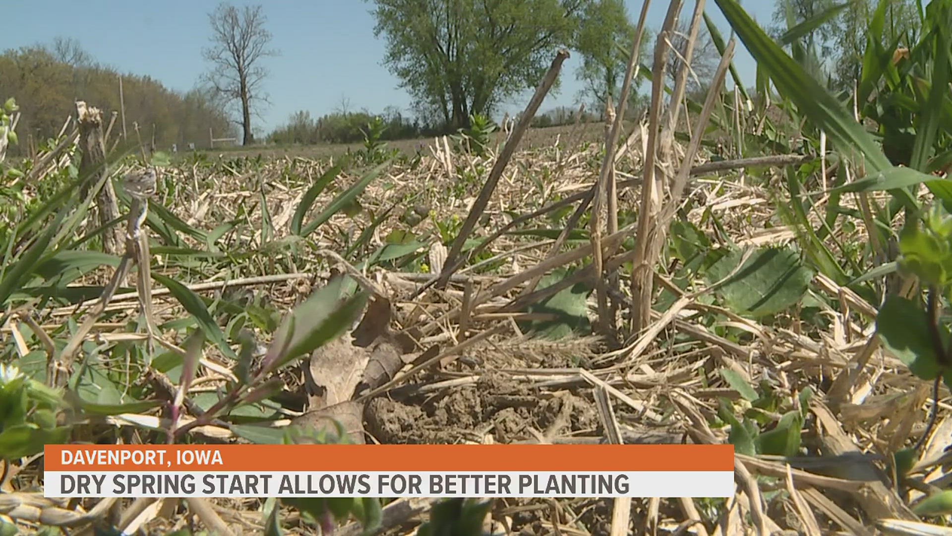 Ewoldt says the first 36 hours are very critical when planting corn and is waiting for the right conditions to get his crop in the ground.