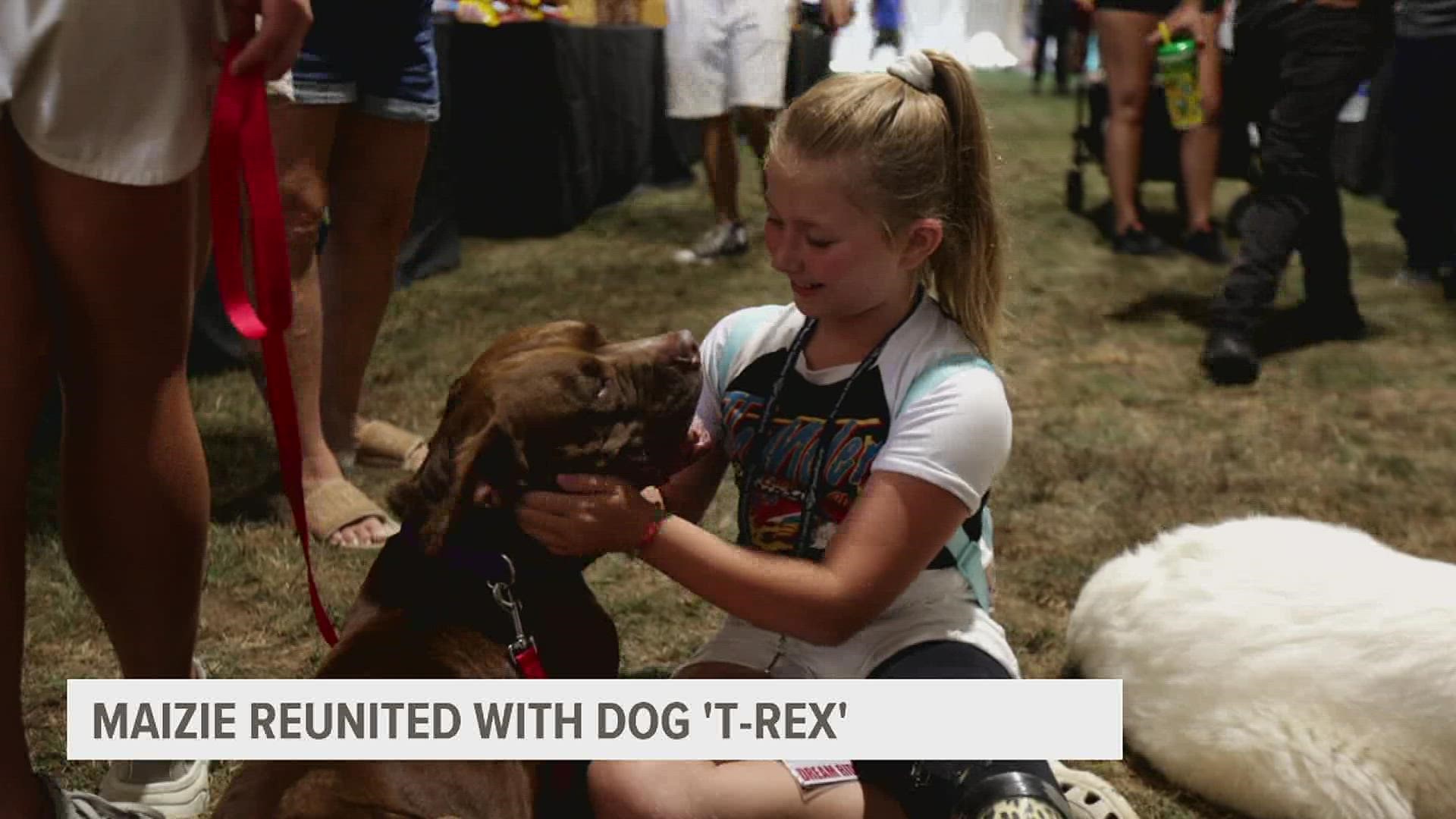 On a trip to Connecticut, Maizie Hosch fell in love with a dog named T-Rex. Both can't use one of their legs. A volunteer drove 2000 miles to unite them.