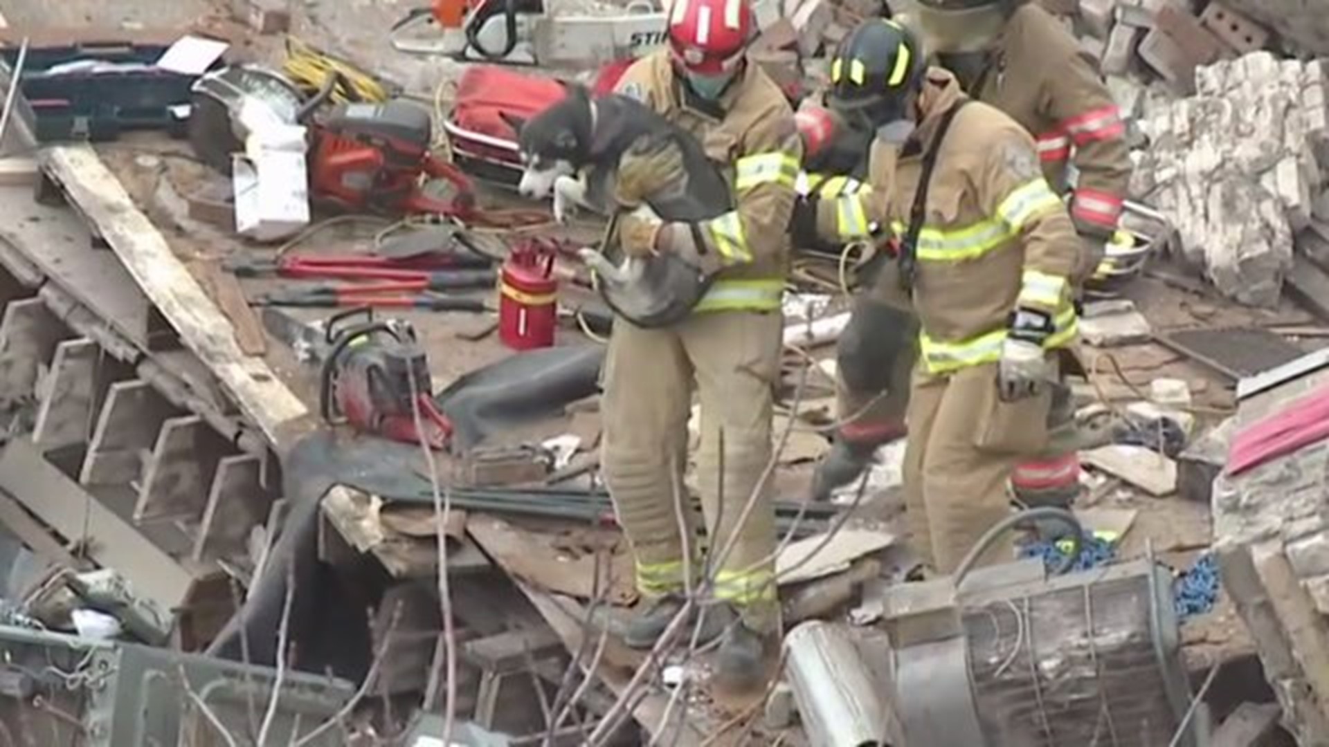 Dog Rescued From Building Collapse