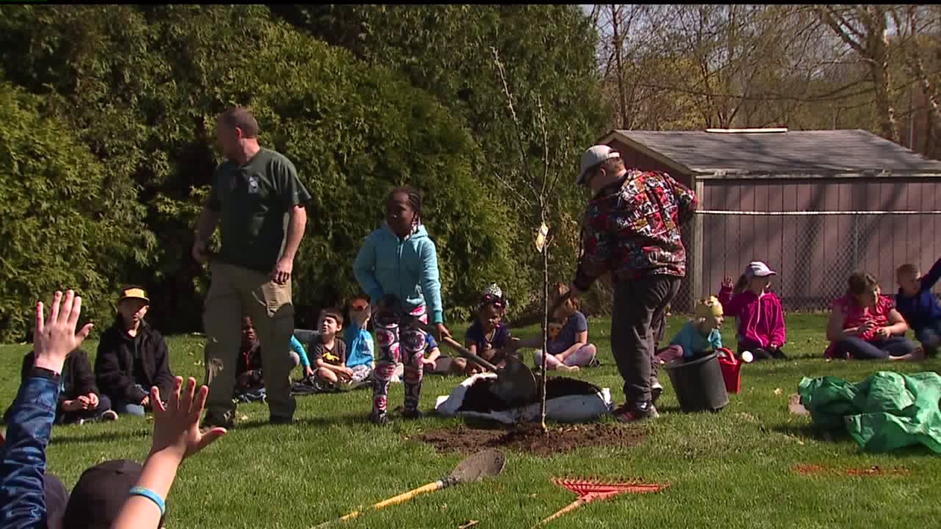 Moline Students Plant Apple Trees for Arbor Day