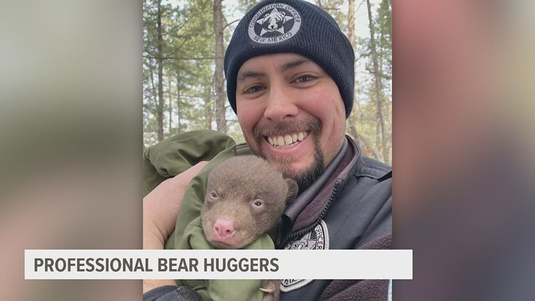 New Mexico hiring 'professional bear huggers'