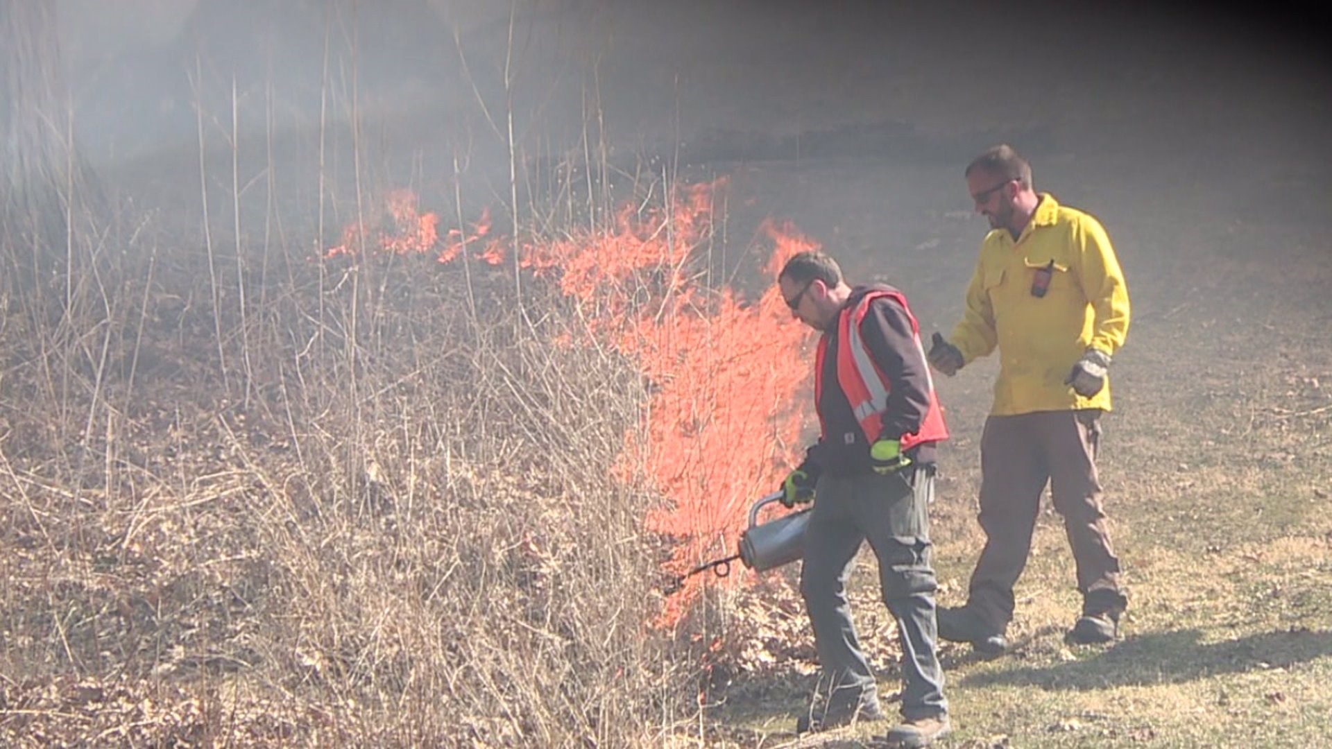 Moline conducts controlled burn at Prospect Park