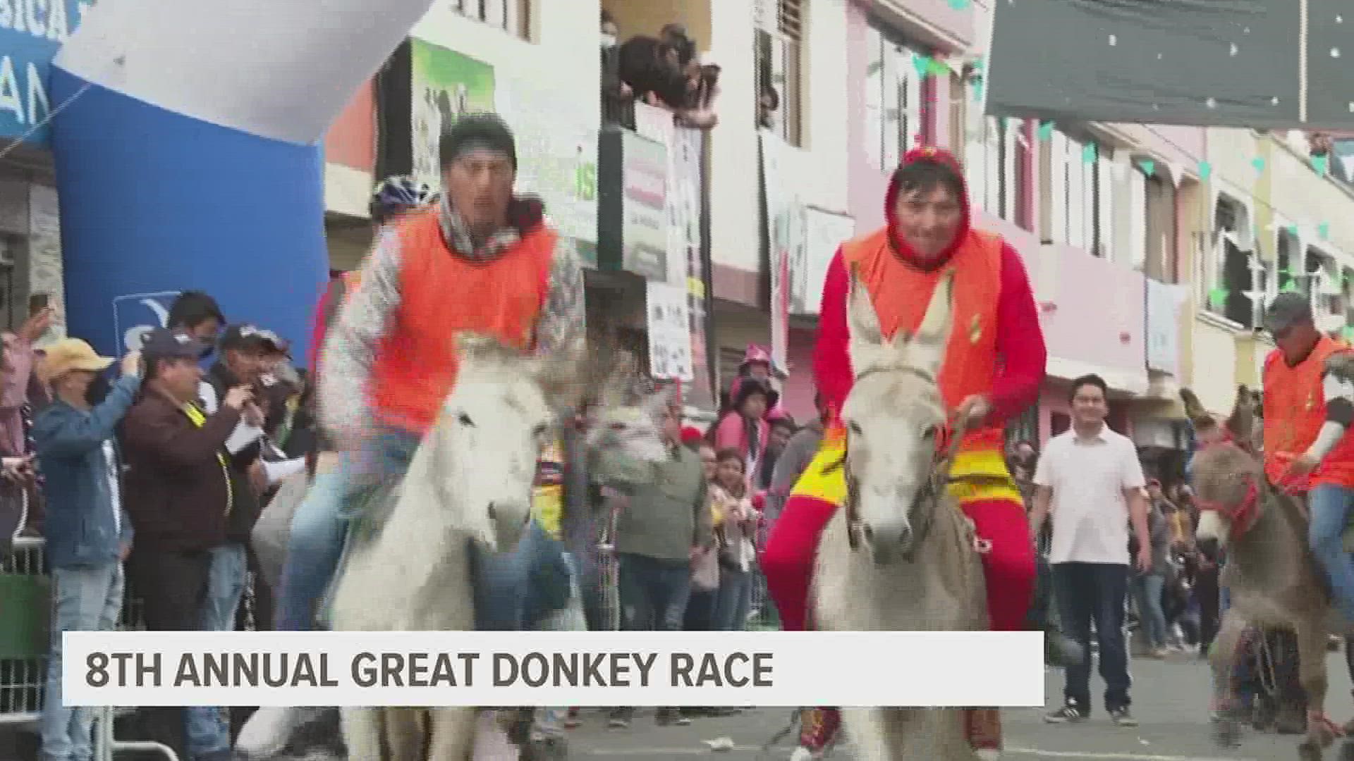 In Central Ecuador, donkeys paraded and raced through the streets. The race was over 900 yards and included 65 different noble steeds.