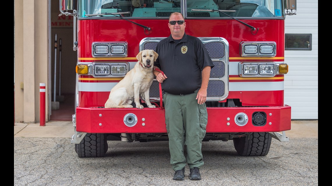 Illinois gets early holiday gift of three new arson K9s - Vimarsana News