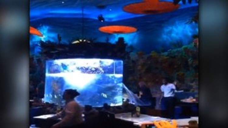 Video: Disney restaurant fish tank bursts