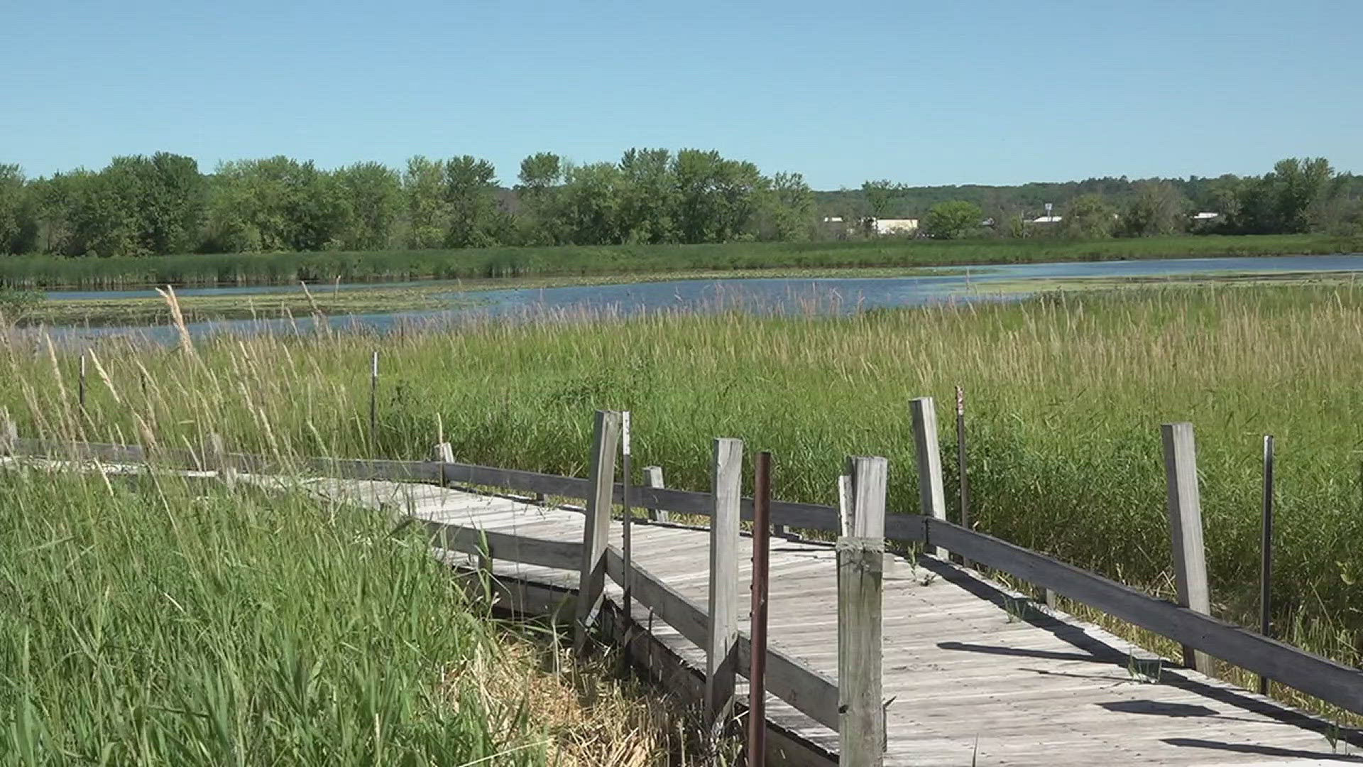 Educators from across the country attended a week long event at Nahant Marsh in Davenport to explore topics related to the Mississippi River ecosystem.