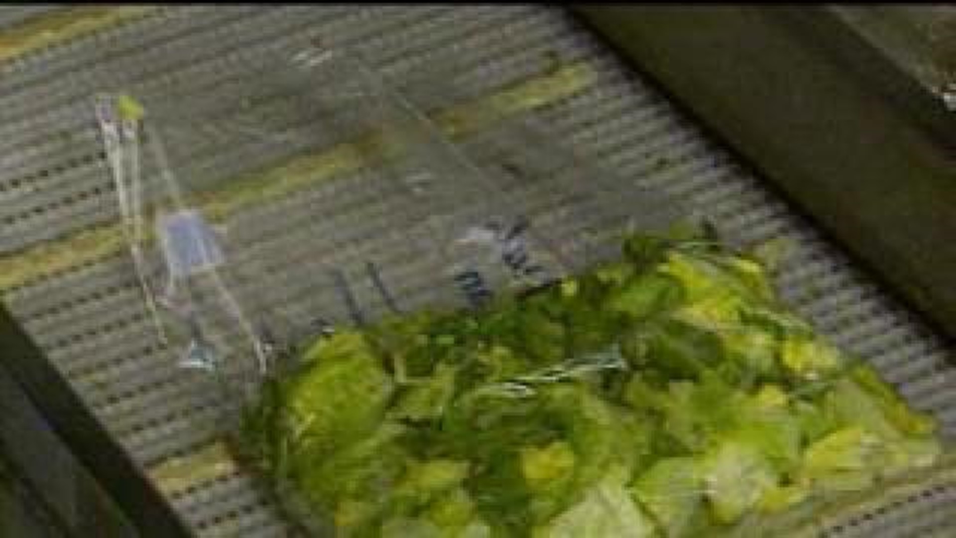 Garden-Fresh Foods issues recall of salads, slaws, dips