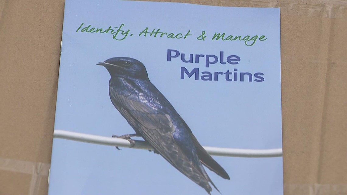 Endangered birds to colonize at Davenport City Cemetery - Vimarsana News