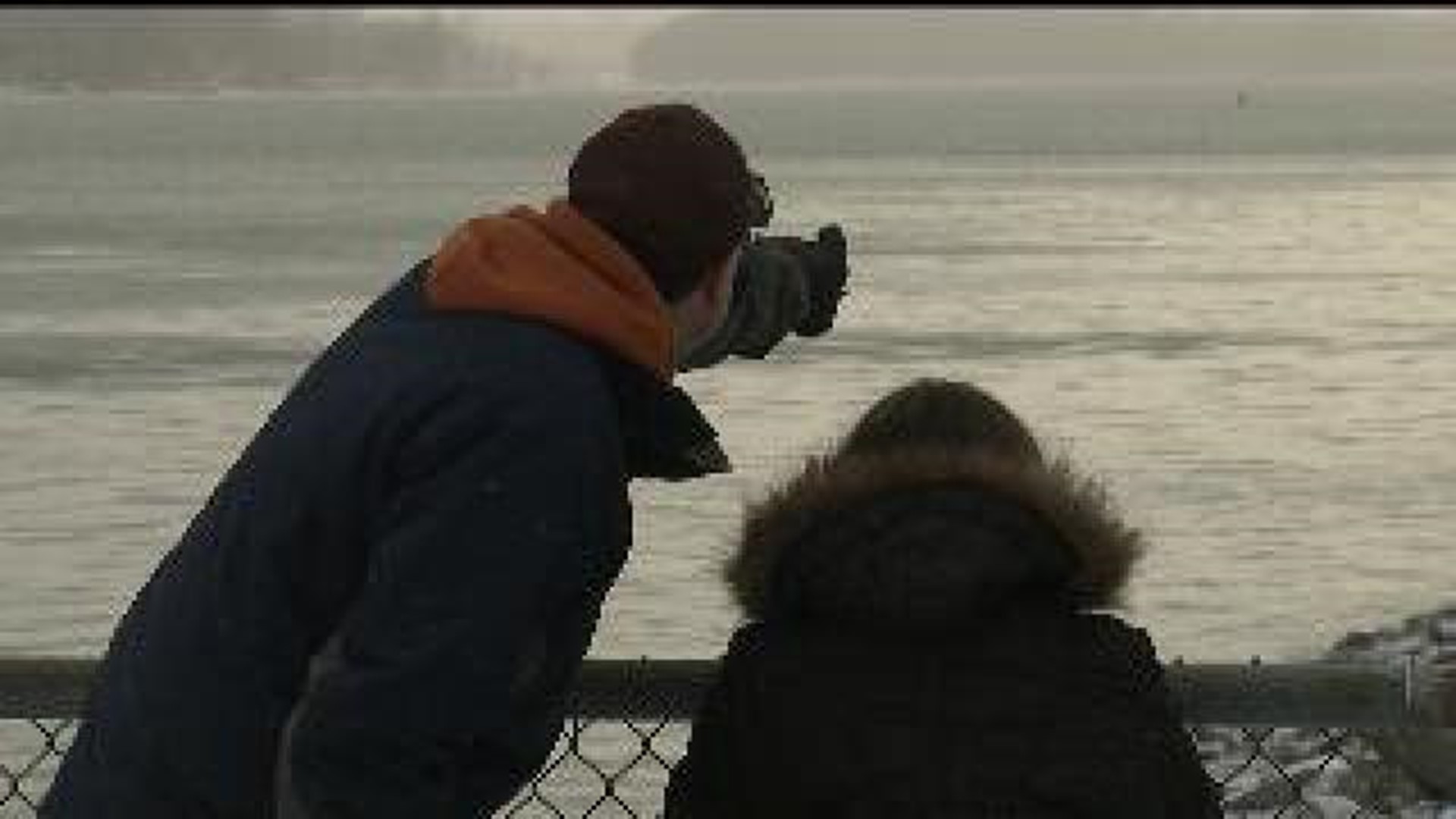 Eagles and photographers flocking to the Mississippi