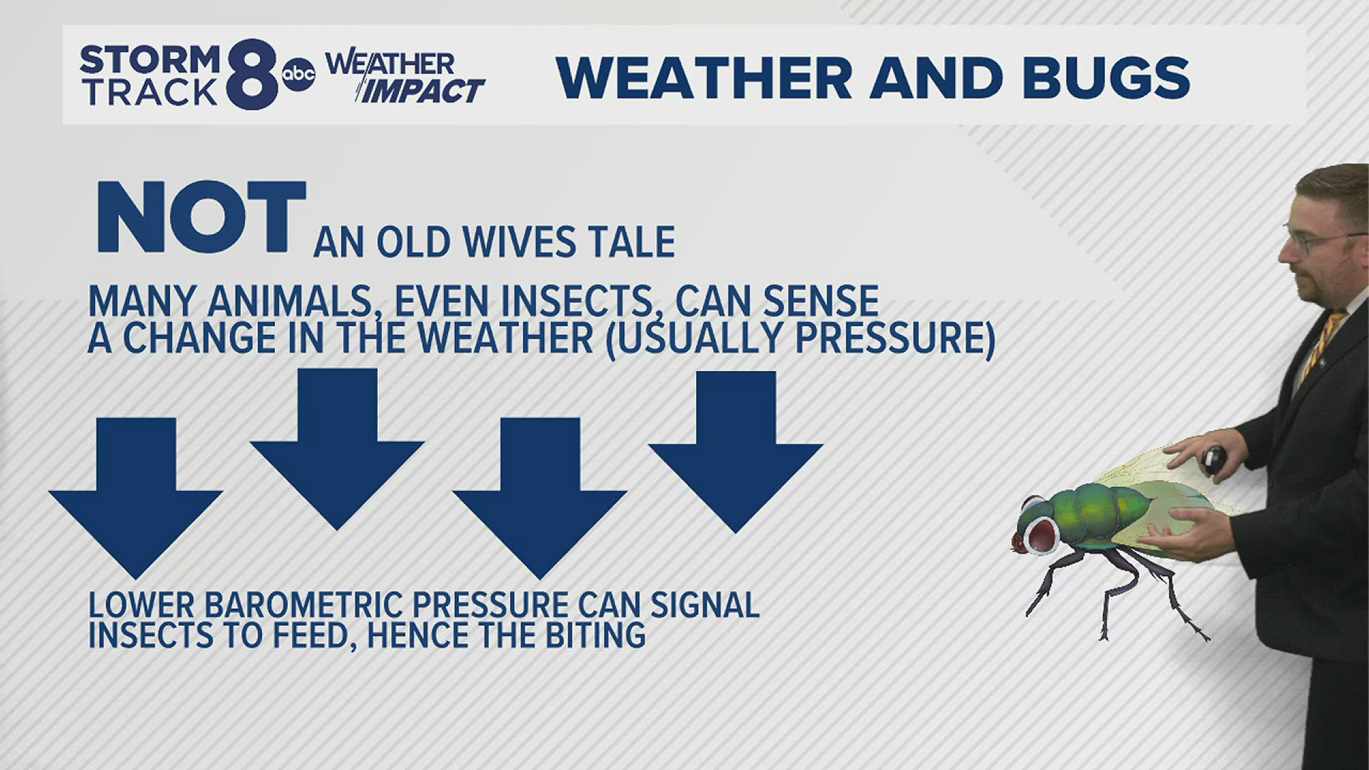 Scott from Osco, Illinois, asks if pesky and biting flies are a sign that rain is on the way.