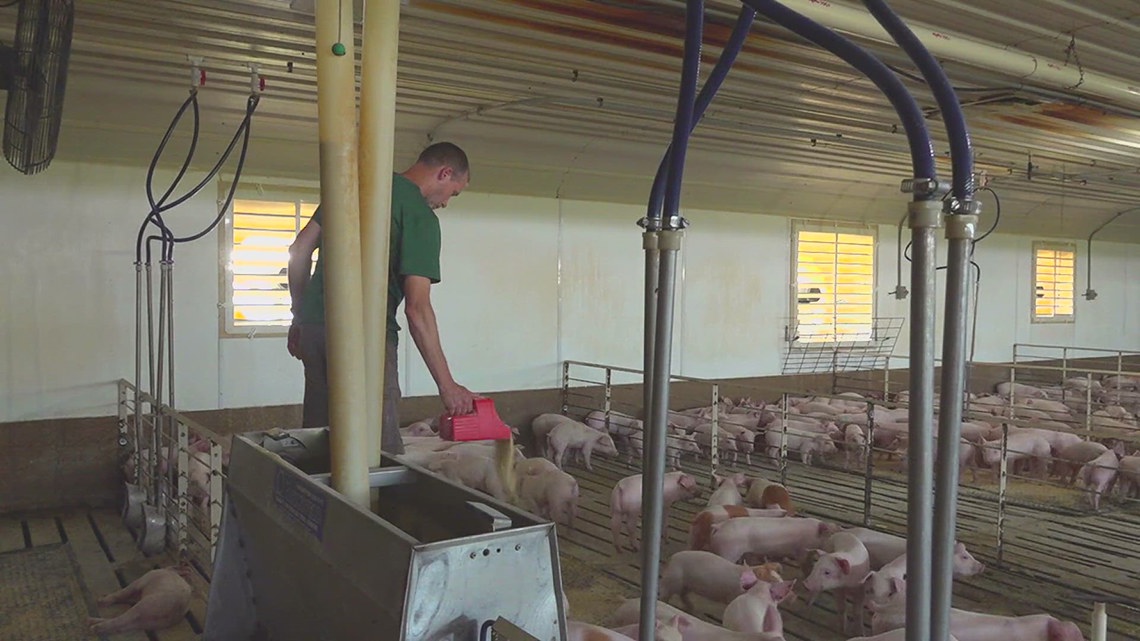 How a California law is impacting pork farmers in the Hawkeye State