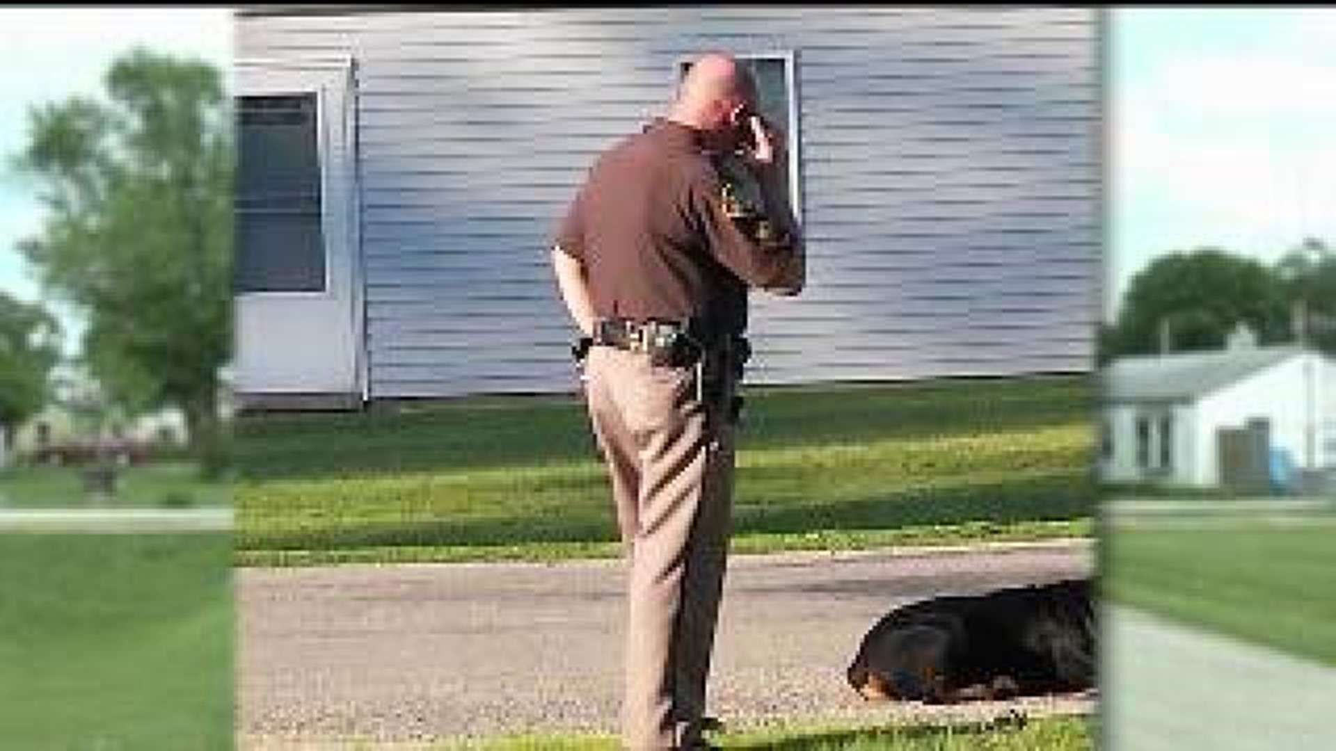 Case closed in death of East Moline dog