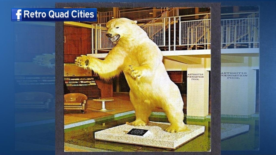 giant polar bear teddy