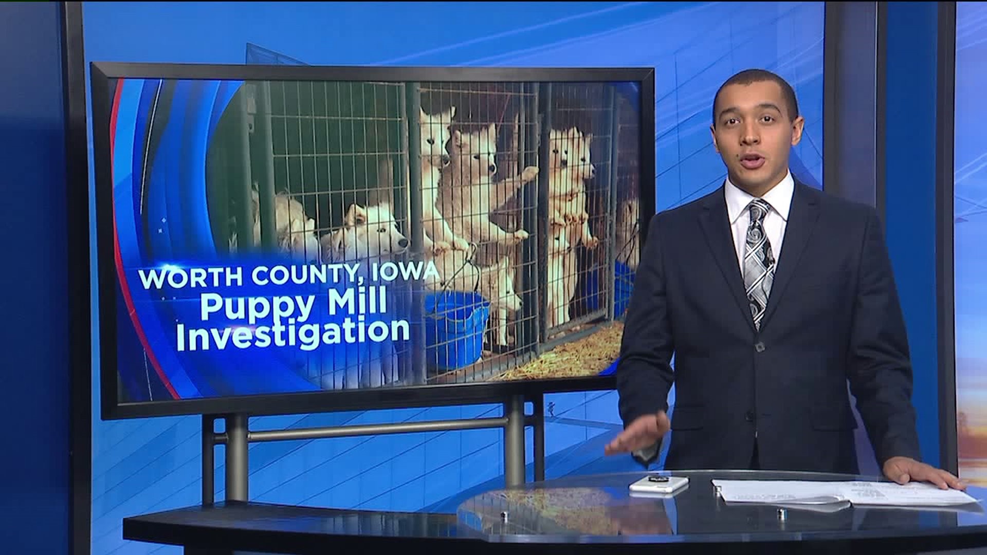 How local experts will get involved after puppy mill rescue