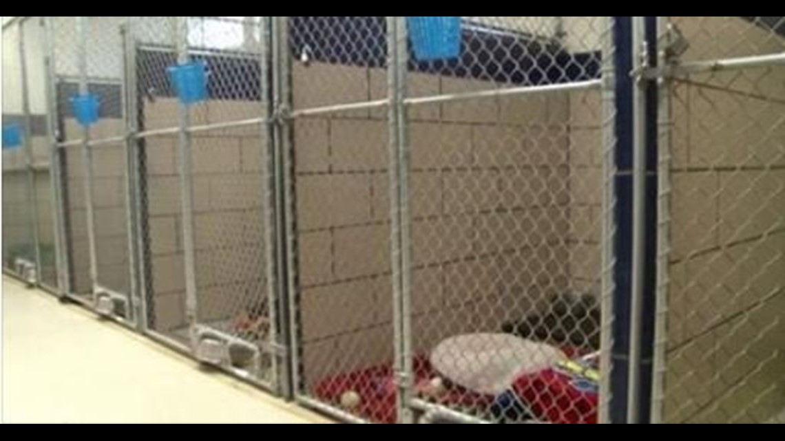 Animal shelter in Indiana celebrates after every last pet is adopted ...